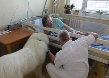 Střípky z dnešní canisterapie