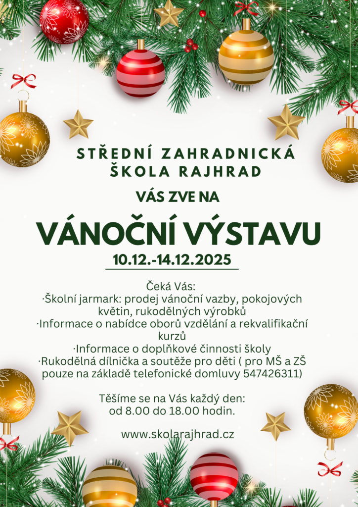 Vánoční výstava SZŠ