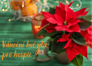 Vánoční hvězda pro hospic