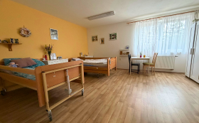 Domov se zvláštním režimem sv. Luisy